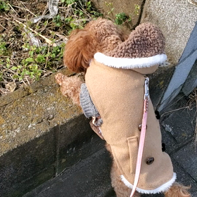 この世の全ての生き物に…の画像