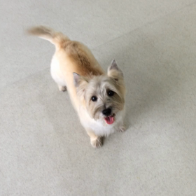 ♪プレイルーム動画♪①の画像