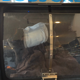 ⬛️3/1〜3/7＊酸素カプセルご利用のお友達⬛️の画像