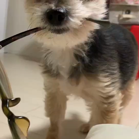 まだボケてない！？の画像