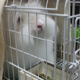 ノリノリ ナリちゃんの画像