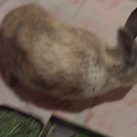 この記事の画像