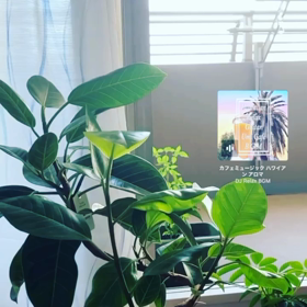 望みが叶わない理由の画像