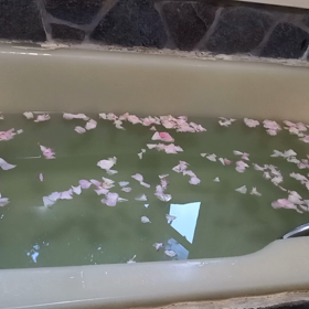 バラの香り～～～　＼(◎o◎)／！の画像