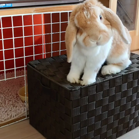 第２の場所にの画像