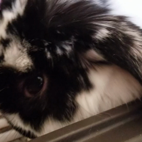 本日休日のため定期検の画像