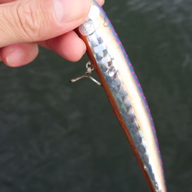 青物用の自作リップレスミノー【スイムアクション動画】の画像