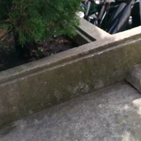 サンちゃんとの画像