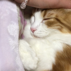 糸と初恋の人の画像