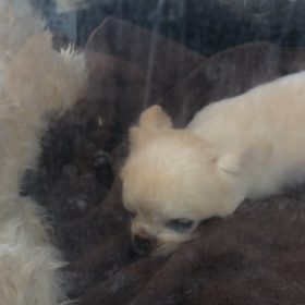 ⬛️4/19〜4/25＊酸素カプセルご利用のお友達⬛️の画像