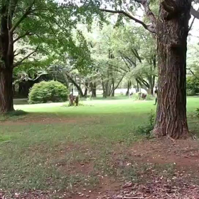 400mインターバル 中間点③の画像