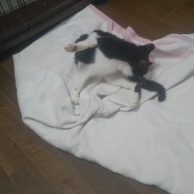 どんな姿勢？！の画像