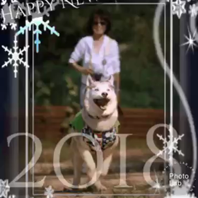 明けましておめでとうございますの画像