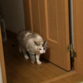 今日はここまでの画像