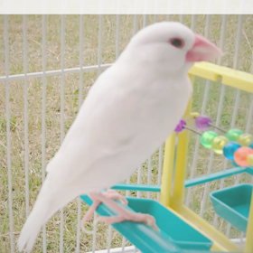 任務そっちのけの画像