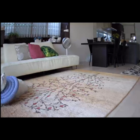 2回目のフリーお留守番の画像