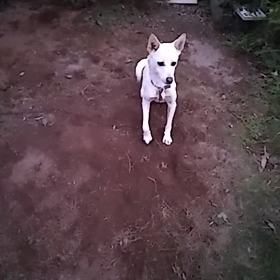 大はしゃぎ♪の画像