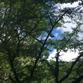 急に団体さんが入り てんてこ舞い^ ^の画像