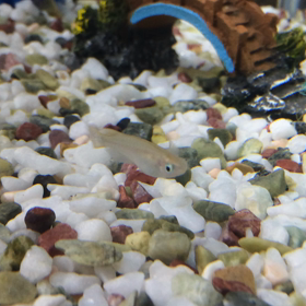 いつもと違うの画像