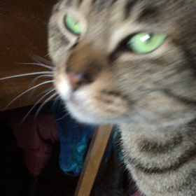 かーちゃん、甘えさせてくれ！の画像