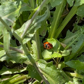 有効期限の画像