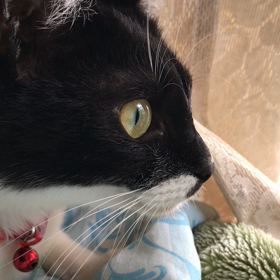 雨の匂いの画像