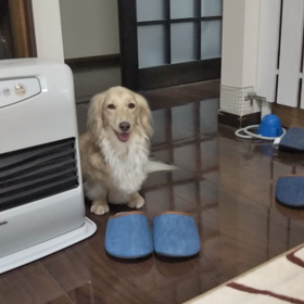 ただいま(^-^)vの画像