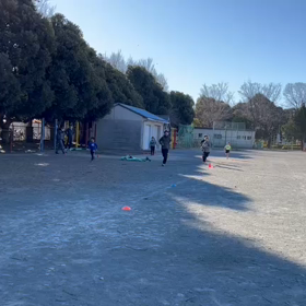 1月28日　400インターバル①の画像