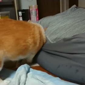 八つ当たり！！の画像