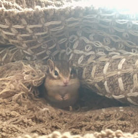 ラグマットからこんにちは♡の画像