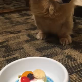 15歳で初めてのクリスマスケーキの画像