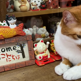 集めたポイントはすぐ使う派？貯める派？の画像