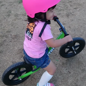 動画 またSTRIDERの画像