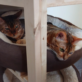 お好み焼きミュージアムの画像