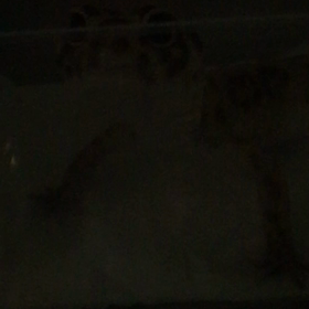 目に注目〜！の画像