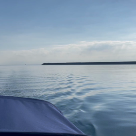 凄いぞ対馬の画像