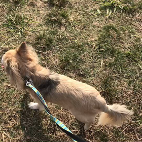 ♪お散歩動画♪代々木公園♪①の画像