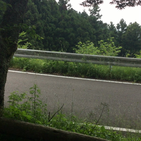 愛媛の山  皿ヶ嶺①  カッコウのさえずりの画像