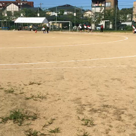 377.合同体育大会の画像