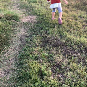富士山とひなちゃんと薄い月 ♡⍢⃝♡の画像
