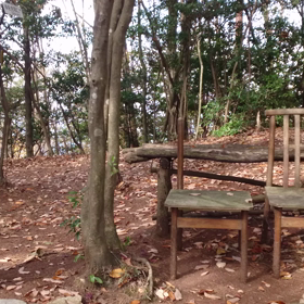 本日 の 里山 横あるき 調べ 「野登呂山」広島市安佐北区の画像