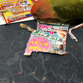 マヤ暦応用実践講座in草津の画像