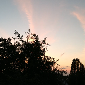 初めまして！の画像