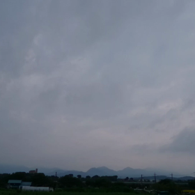 ひまわりまつり動画2の画像