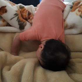 修正11ヶ月になりました（少し前に(^_^;)）の画像