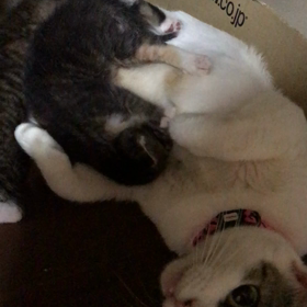 頑張って乳母してますよ❤️の画像