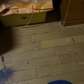 ちょーおーばらしの後の話しの画像