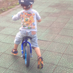 頑張り屋さん☆の画像