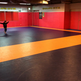 6歳児のロンダードバク転(動画投稿テスト)の画像