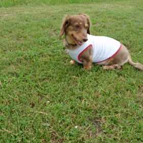 暑い、暑すぎる(;´д｀)☆の画像